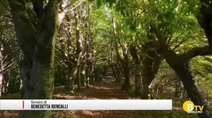 Gente e Paesi, Daniel Pesenti giovane boscaiolo di Laxolo di Val Brembilla