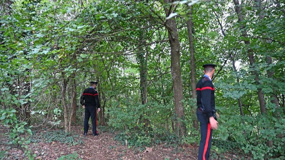 I carabinieri nei boschi a Bottanuco I carabinieri nei boschi a Bottanuco
