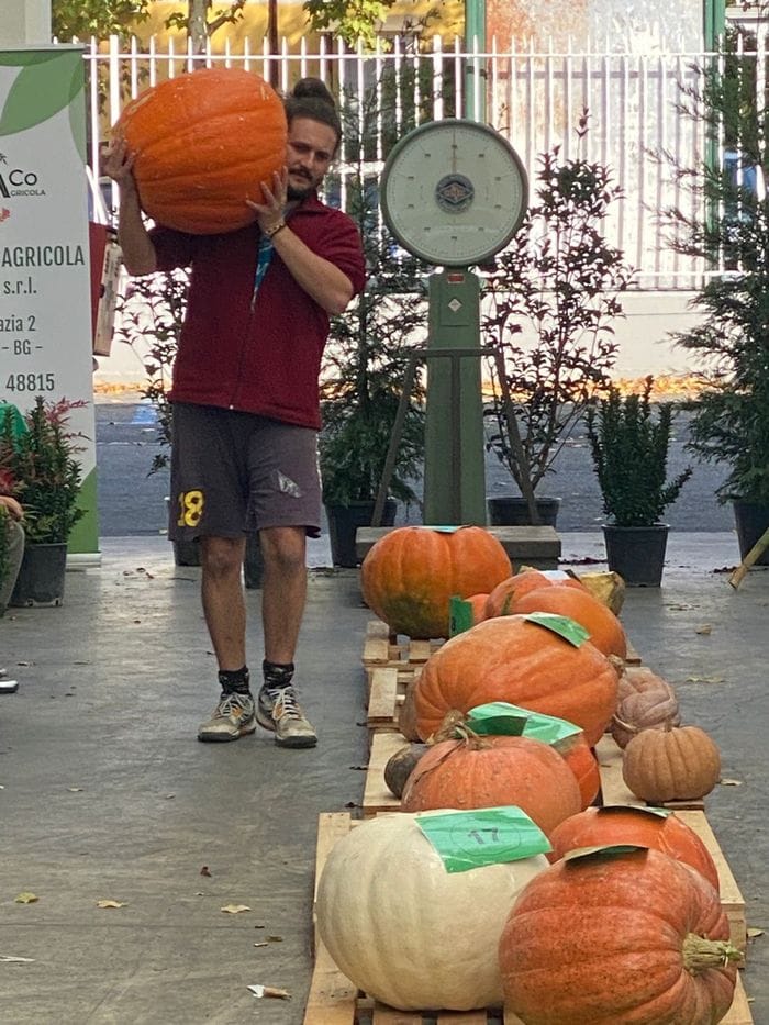 Zucche in gara
