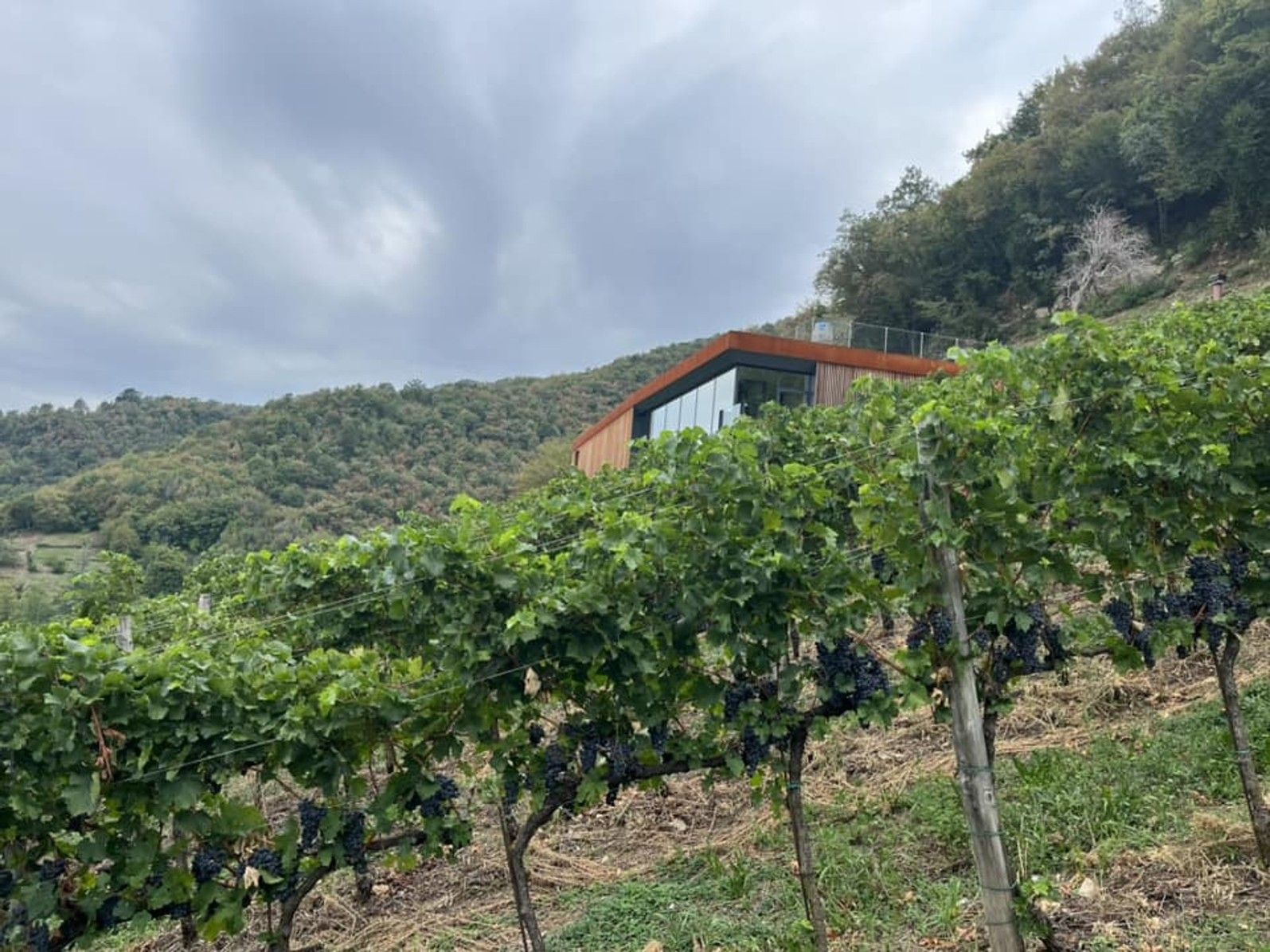 Cantina Valba
