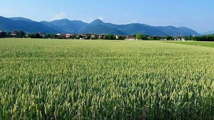 impianto fotovoltaico al triangolone di gorle fumata nera e intanto presidio di protesta