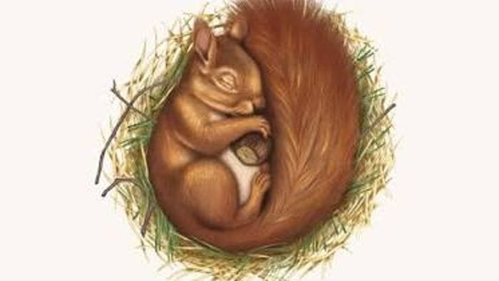 La montagna: luogo dell’anima dove ritrovare sé stessi