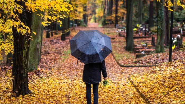 il vuoto che lascia la met224 che manca