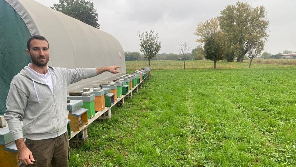 Emanuele Durelli accanto ai suoi alveari, a Boltiere, indica il luogo dove transiterà la nuova Treviglio-Bergamo