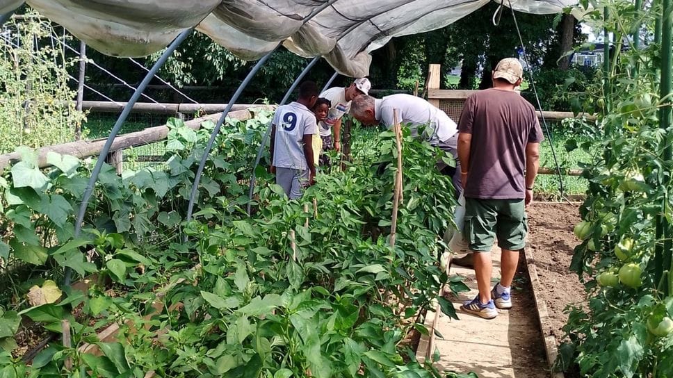 «L’Arcobaleno» riunisce una ventina di volontari, è impegnata in diverse attività: dall’esecuzione penale esterna della pena al sostegno alle famiglie, ai ragazzi e agli adulti