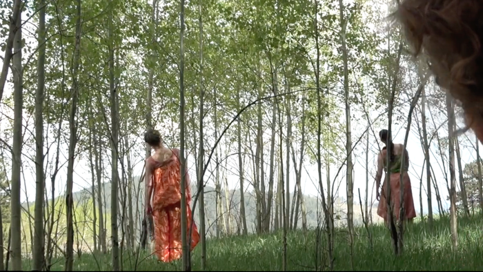 Bergamo dedica un festival ai «polmoni verdi» della Terra Bergamo dedica un festival ai «polmoni verdi» della Terra