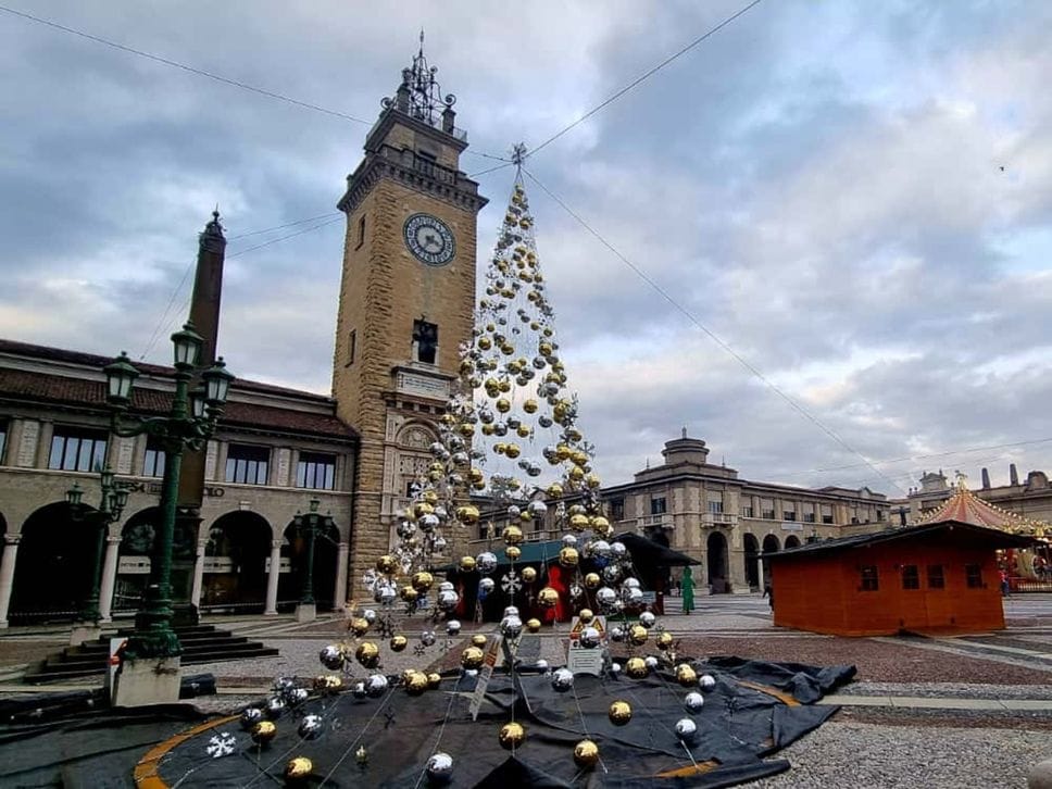 Il Bosco di Natale in allestimento