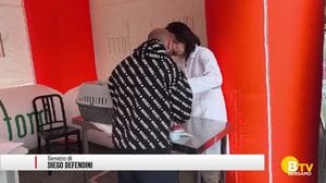 Stezzano, la chippatura gratuita dei cani