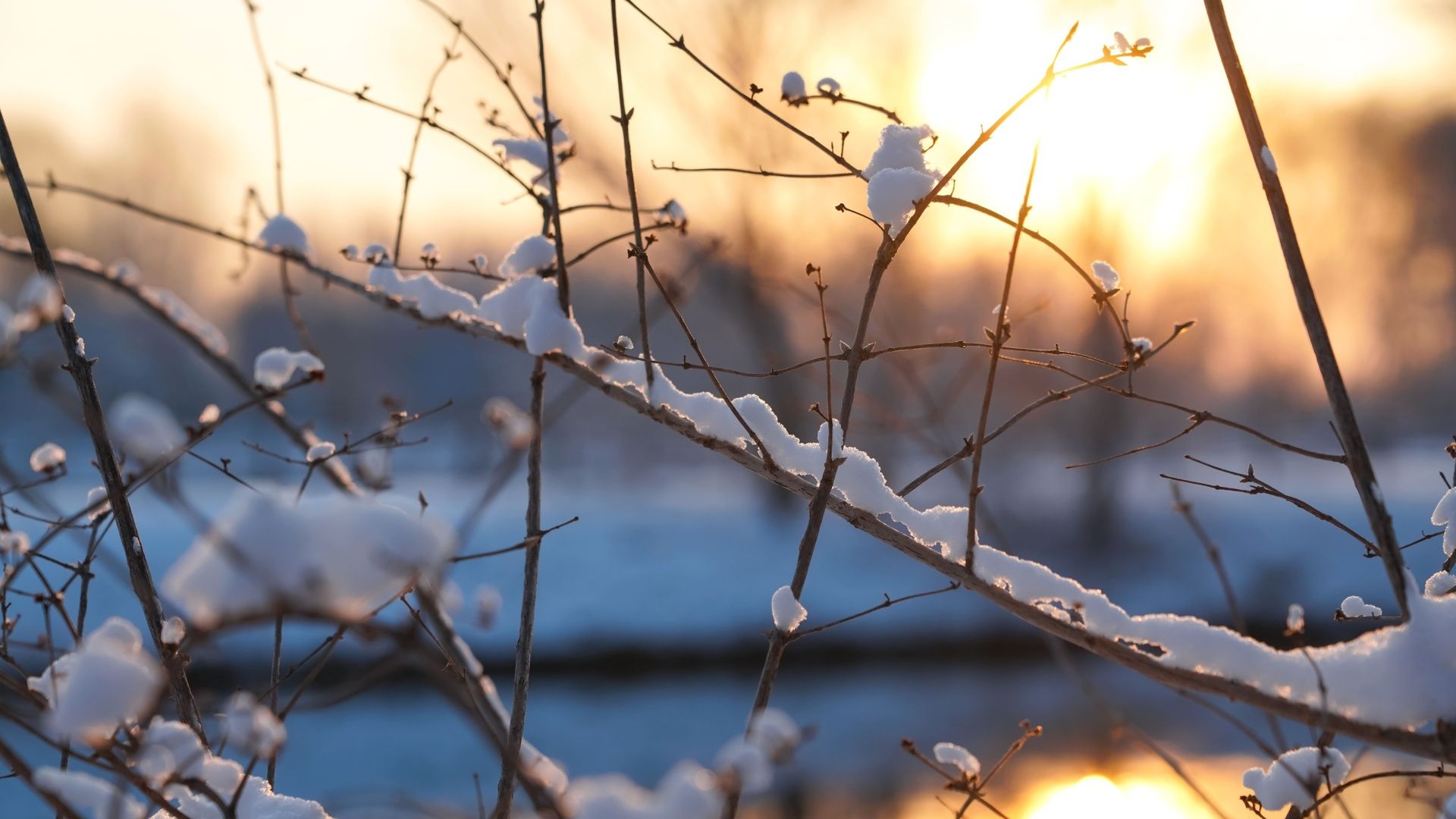 Nel silenzio del giardino d’inverno la natura rallenta e ci insegna a respirare Nel silenzio del giardino d’inverno la natura rallenta e ci insegna a respirare