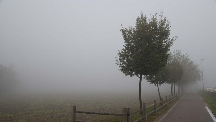 https://storage.ecodibergamo.it/media/photologue/2025/11/16/photos/cache/e-tornata-la-nebbia-sulla-bassa-dopo-la-pioggia-arrivera-il-freddo_6747c96a-c2f9-11f0-98b3-03caa6829a83_1920_1080_v3_large_16_9.jpg