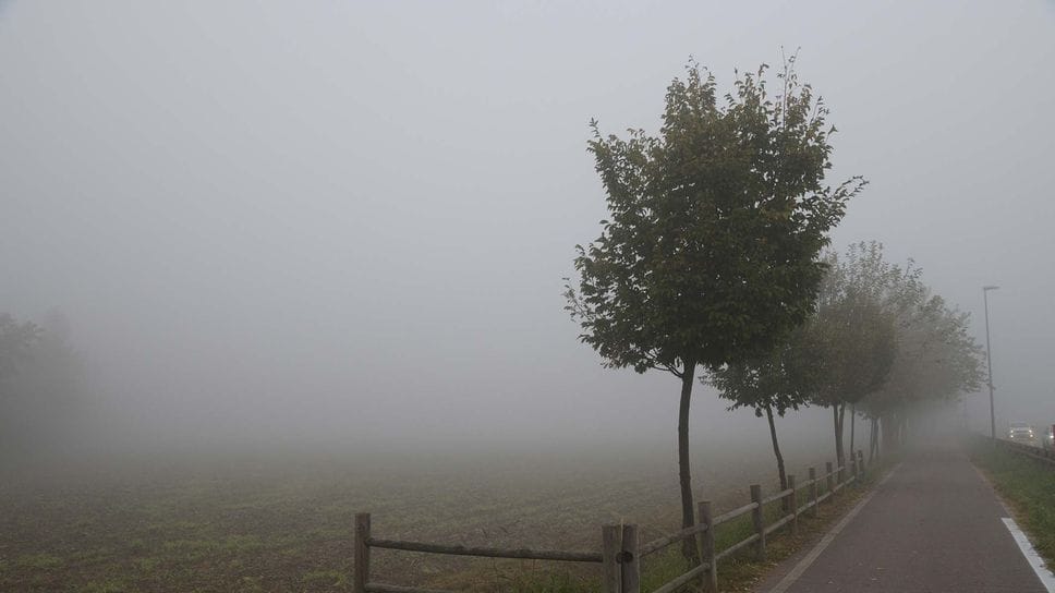 La nebbia nella Bassa Bergamasca in uno scatto di Luca Cesni