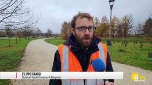 Arrivano i nuovi alberi dopo la «strage» del tarlo asiatico