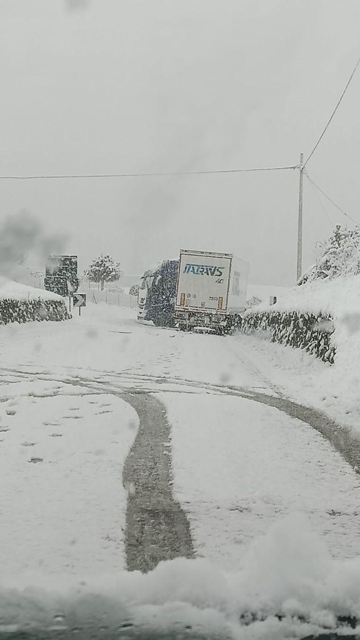 Tir fermo per la neve
