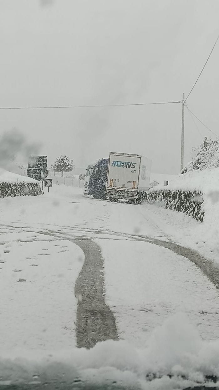 Tir fermo per la neve