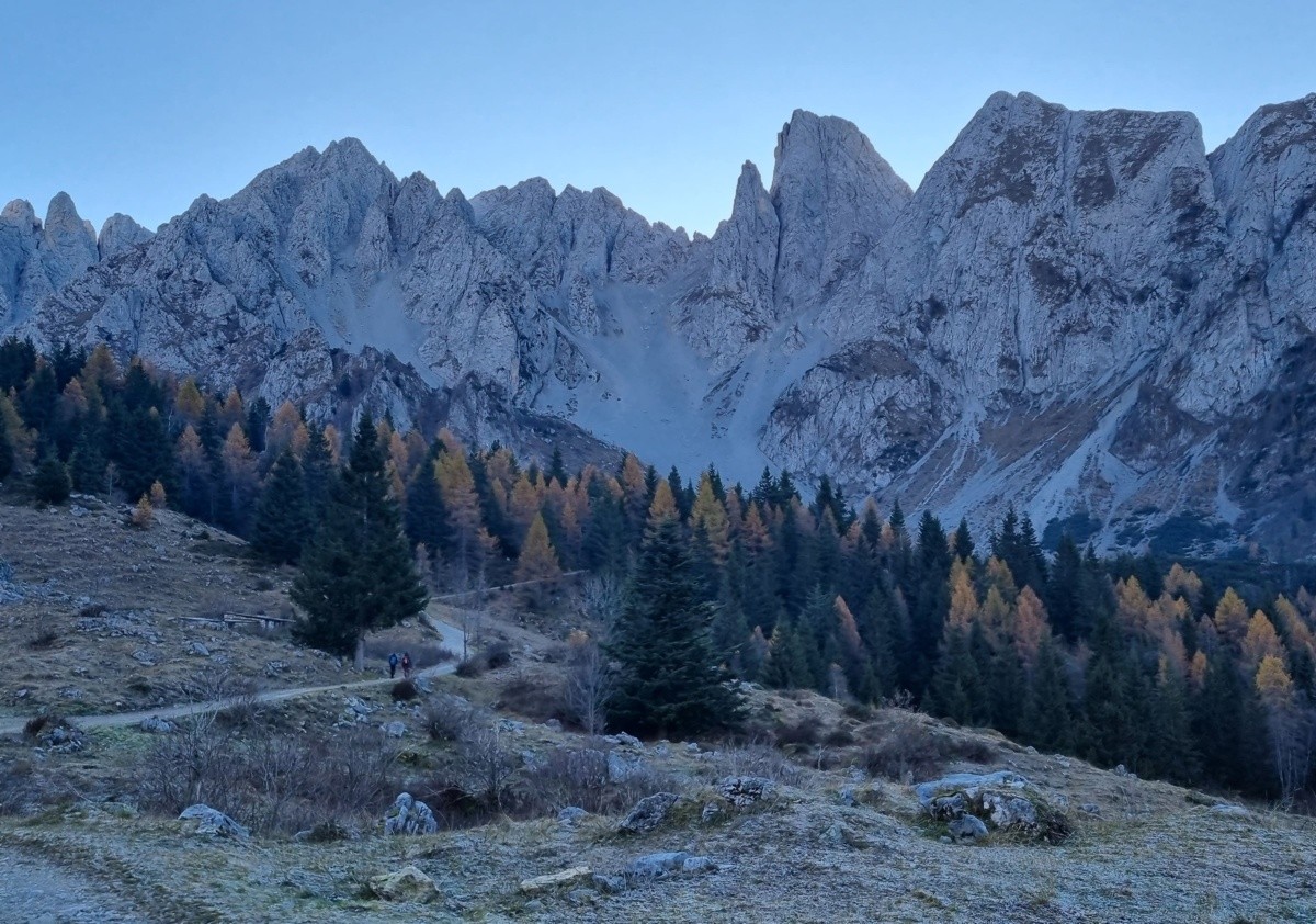 Il Cimon della Bagozza presso malga Campelli bassa