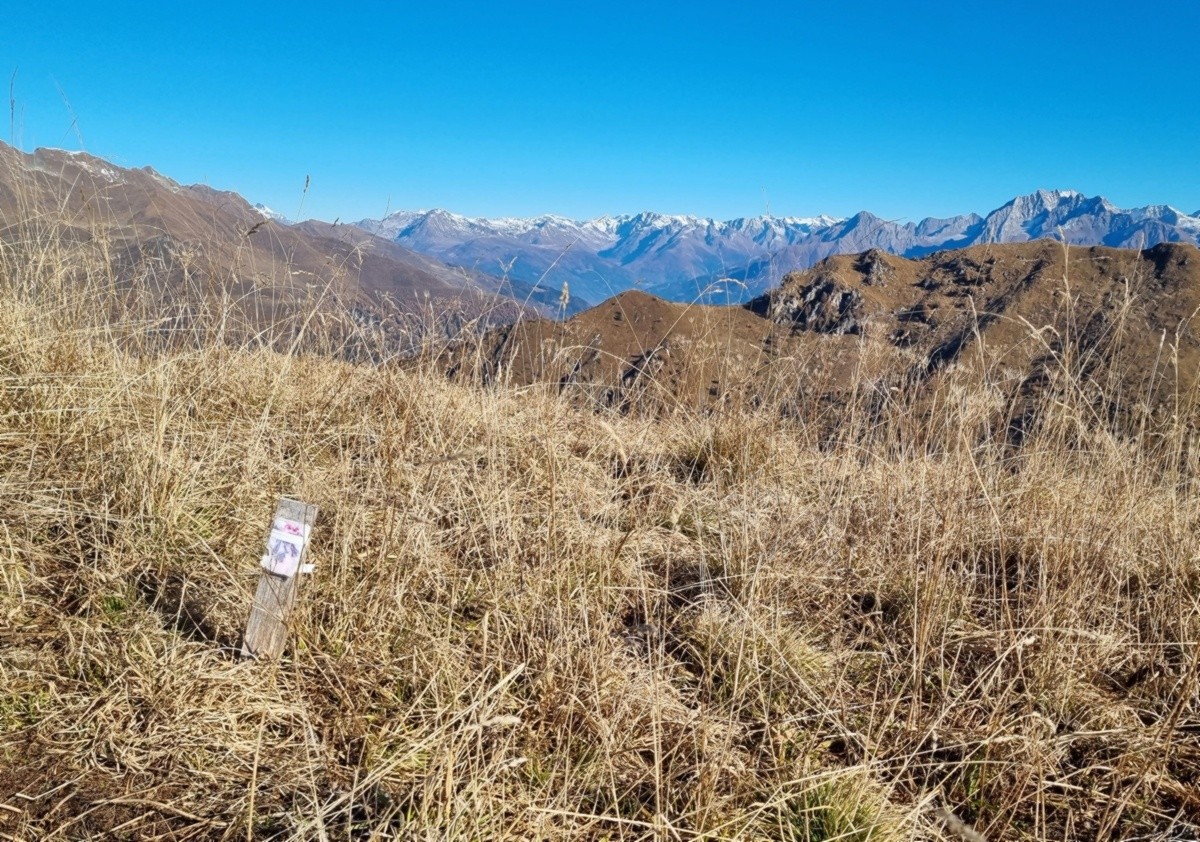 La vetta del Monte Campione (solo un paletto)