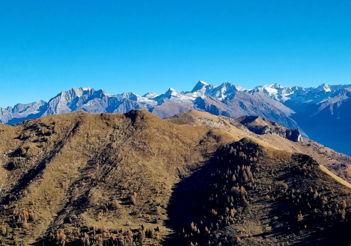 Il gruppo dell’Adamello dal Monte Campione