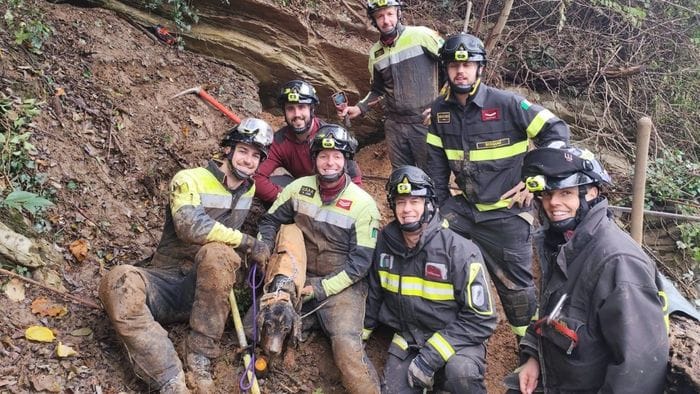 Nembro, cane intrappolato a 5 metri di profondità: salvato dai vigili del fuoco Nembro, cane intrappolato a 5 metri di profondità: salvato dai vigili del fuoco