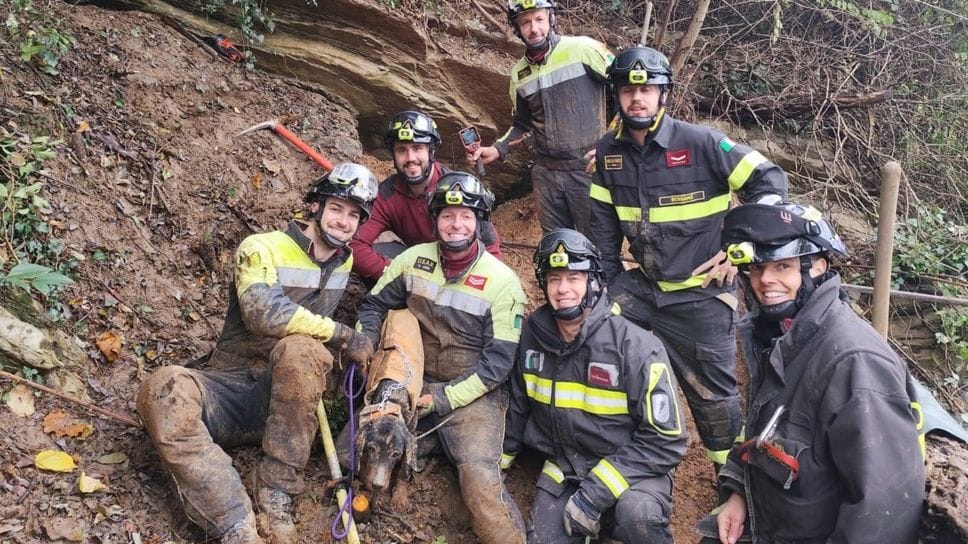 I vigili del fuoco con il cane portato in salvo