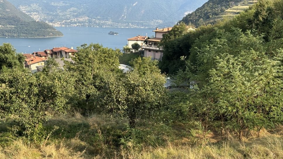 Il terreno in zona Prespino, a Cambianica, dove le società hanno chiesto (di nuovo) di posizionare l’antenna