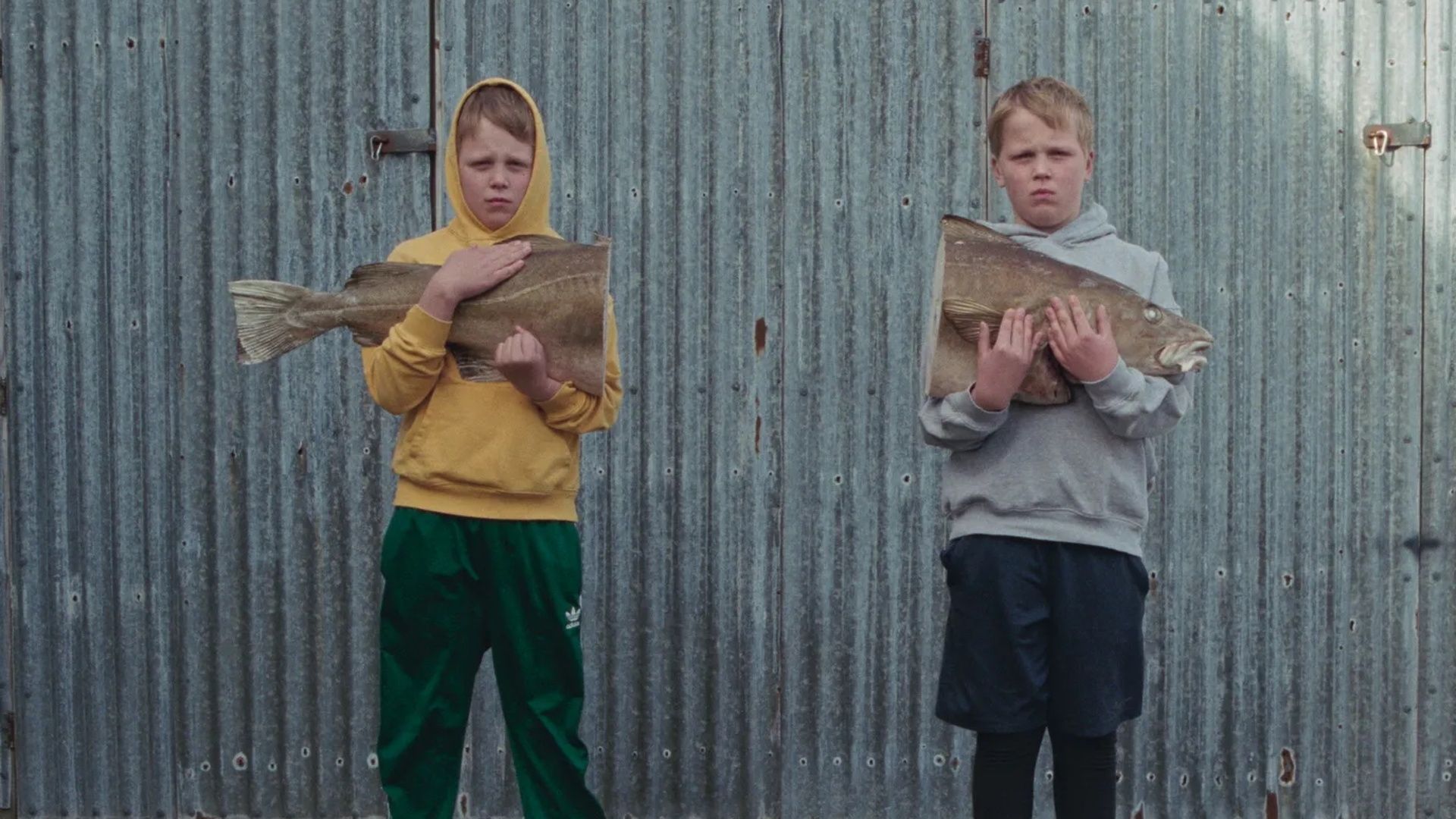 i film da non perdere del momento p225lmason safdie guadagnino e i dardenne da Ecodibergamo.it i film da non perdere del momento p225lmason safdie guadagnino e i dardenne