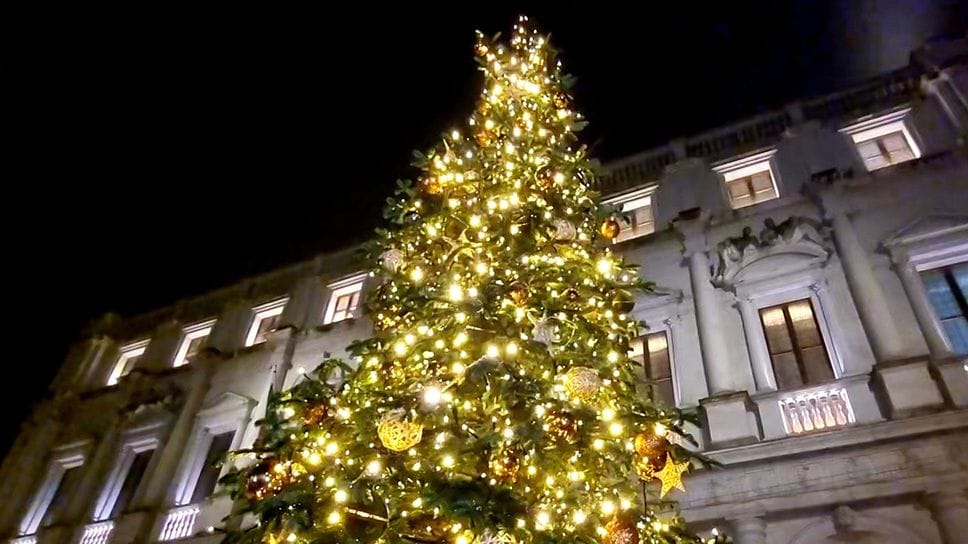 Il Natale in piazza Vecchia, l’albero davanti alla Biblioteca Mai