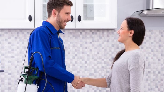 Meno veleni, più intelligenza: così la disinfestazione diventa hi tech