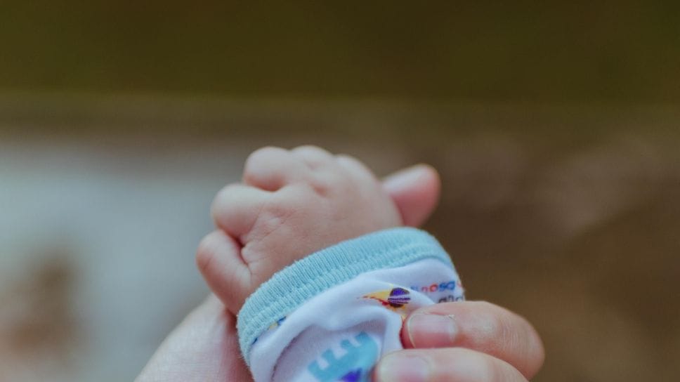 C’è tempo fino al 9 dicembre per fare richiesta del «bonus mamme»: in Bergamasca 20mila potenziali beneficiarie