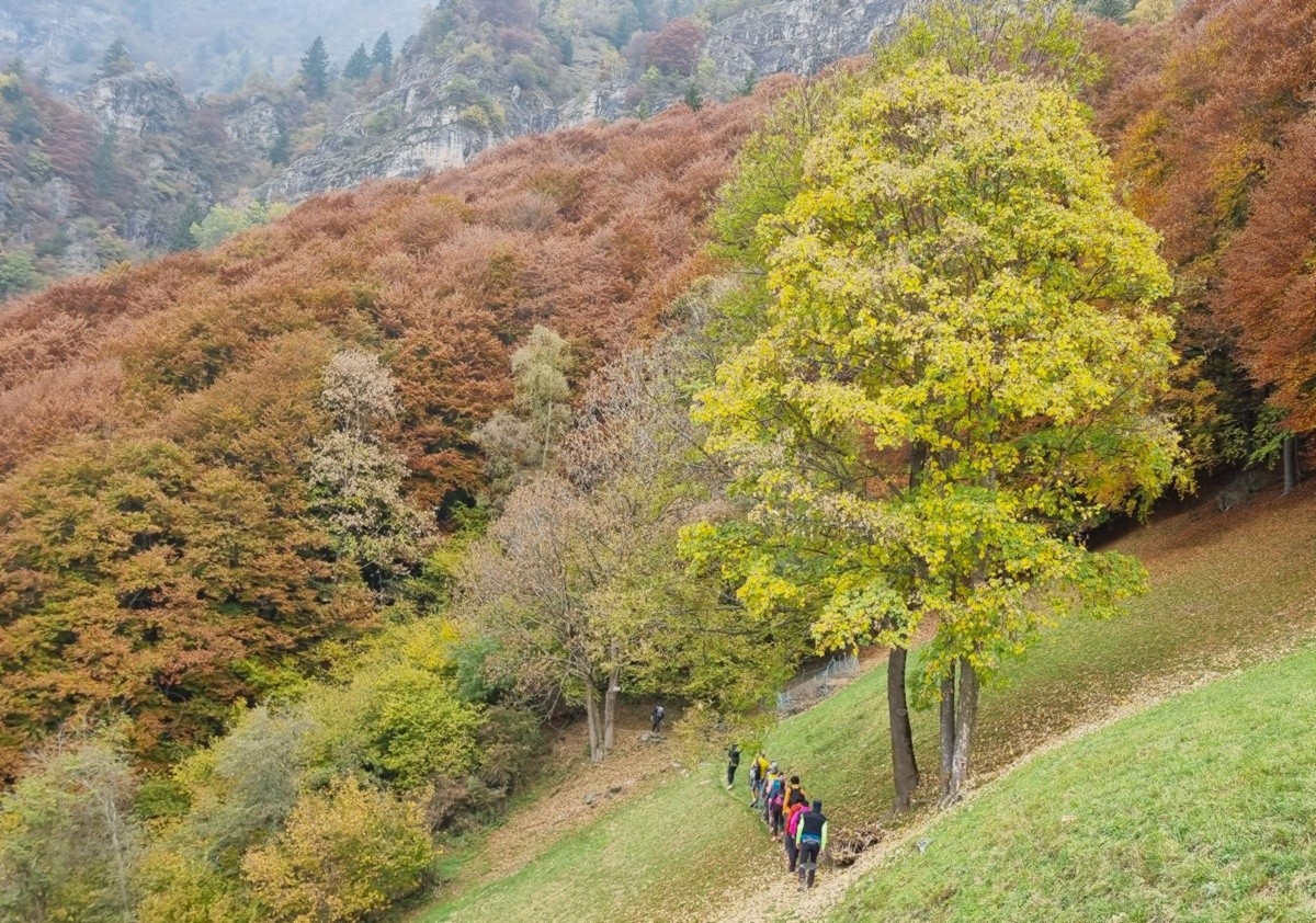 Verso la cascata della valle Antica