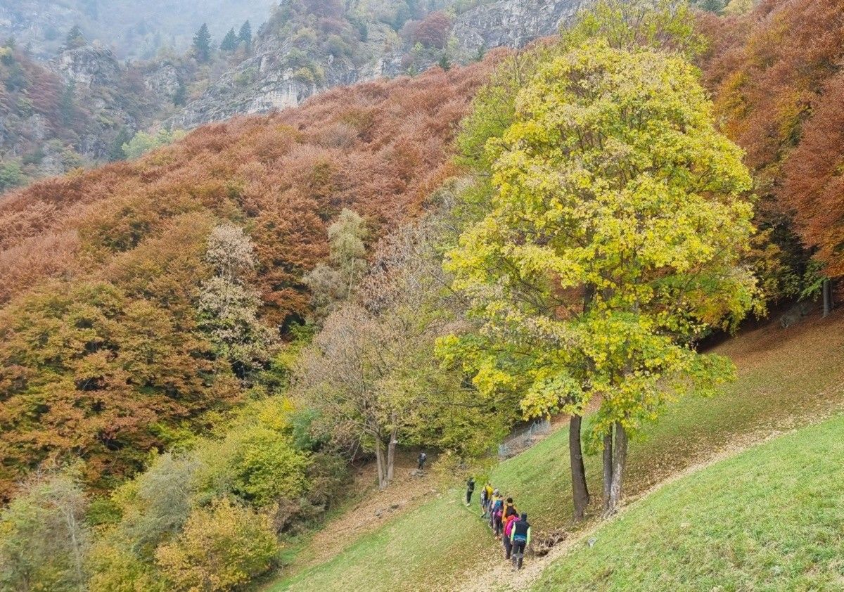 Verso la cascata della valle Antica