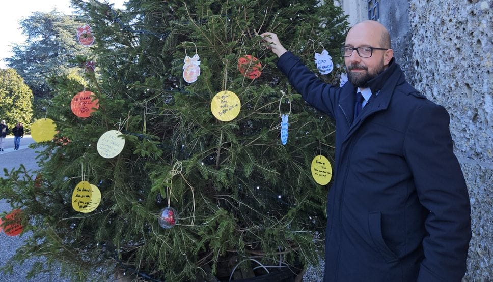 L’assessore Giacomo Angeloni accanto all’Albero della memoria