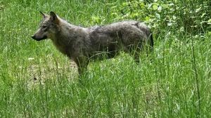 Immagine per d36d8a4c-d6ba-11f0-8c2f-fd845c645498