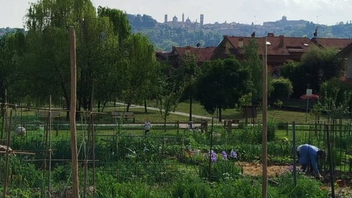 https://storage.ecodibergamo.it/media/photologue/2025/12/12/photos/cache/bergamo-bando-per-lassegnazione-di-34-orti-urbani_e12ecfb8-d75c-11f0-bcfd-bf39cda105a7_1920_1080_v3_large_16_9.jpeg