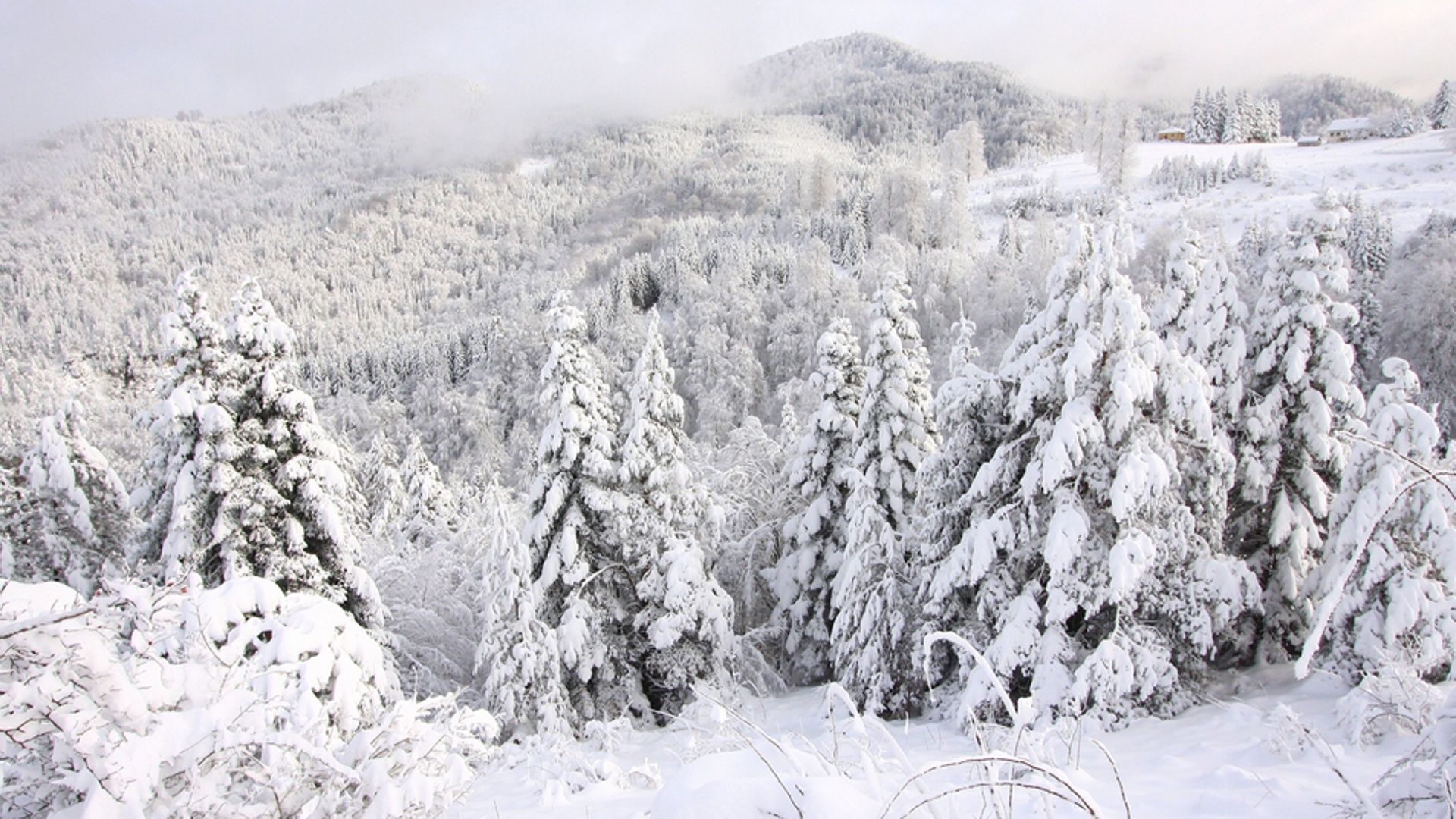 cristallo di rocca di adalbert stifter trama significato e il lato oscuro del racconto di natale da Ecodibergamo.it cristallo di rocca di adalbert stifter trama significato e il lato oscuro del racconto di natale