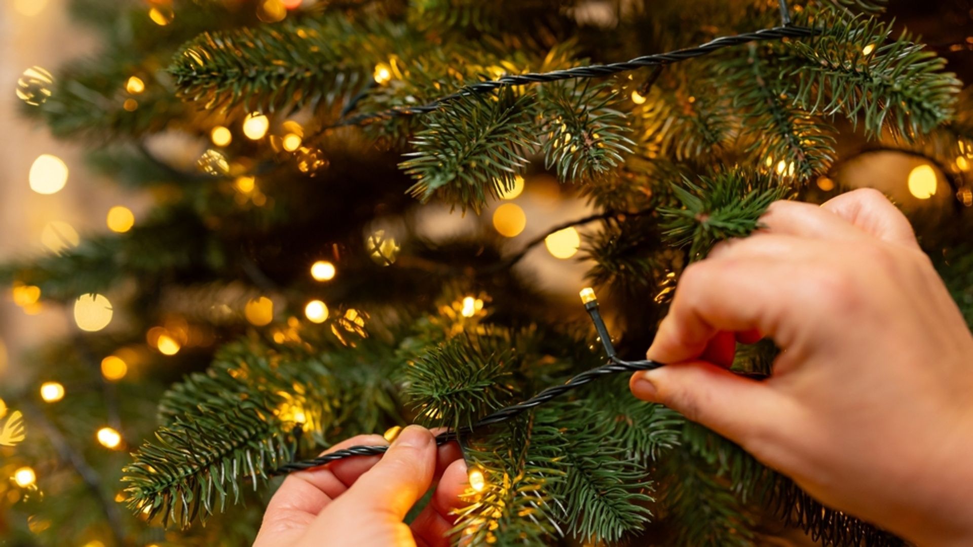 suoni odori sapori luci e relazioni che hanno il potere di alterare i nostri neurotrasmettitori a natale da Ecodibergamo.it suoni odori sapori luci e relazioni che hanno il potere di alterare i nostri neurotrasmettitori a natale