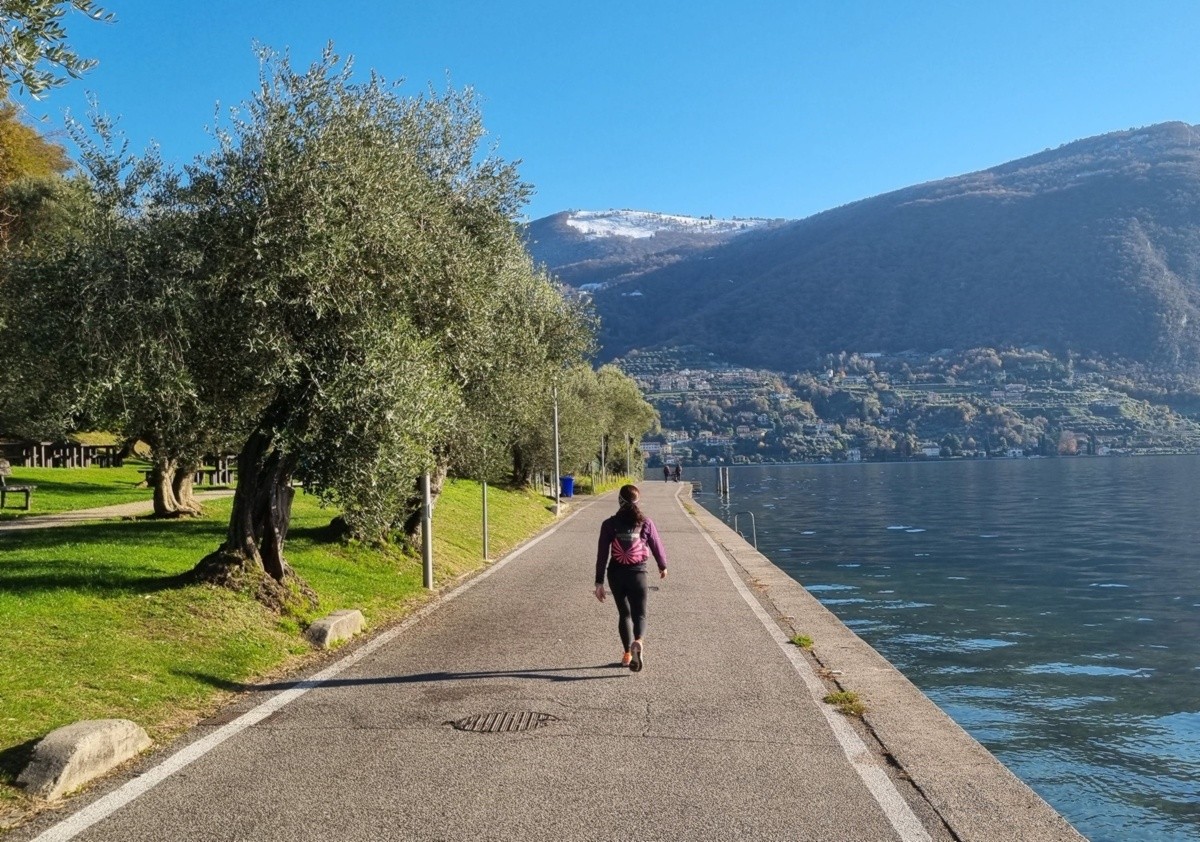 La Strada degli Olivi