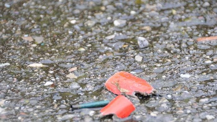 l8217appello del garante degli animali di bergamo a capodanno non festeggiamo coi botti