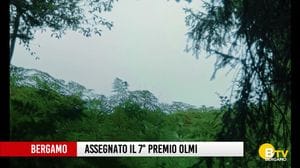 Al bresciano Baiguera il Premio Olmi