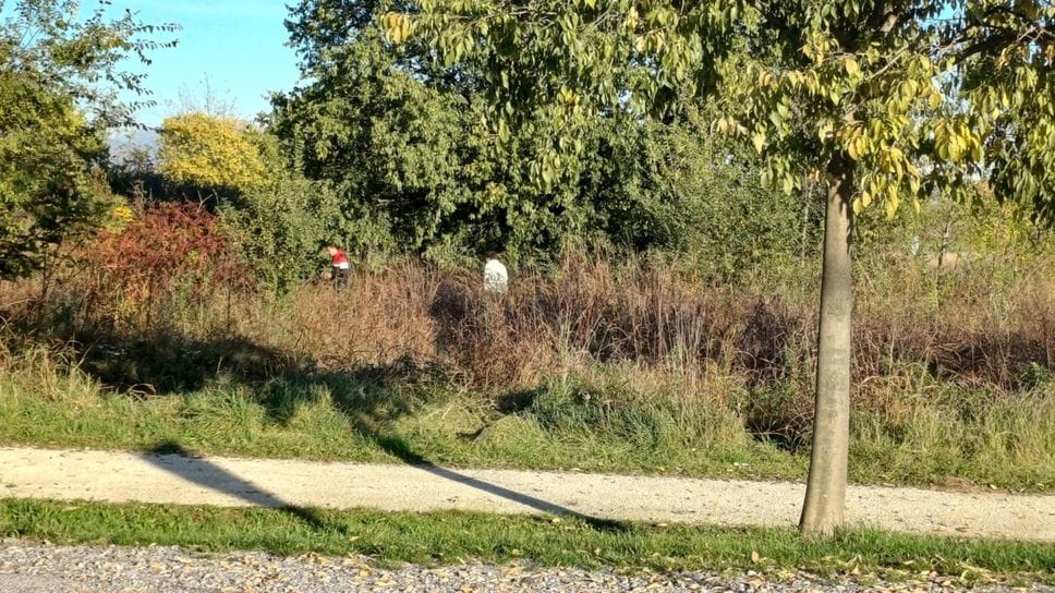 Due spacciatori si nascondono nella vegetazione del Parco del Serio dopo aver tentato di vendere droga ad alcuni frequentatori dell’area verde