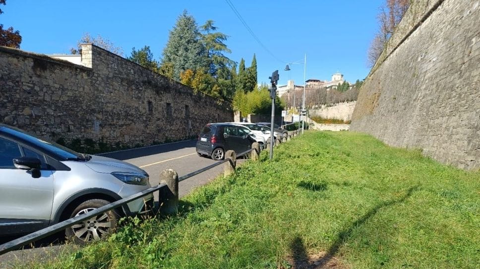 Nuova area cani in via Tre Armi: sarà la prima in Città Alta