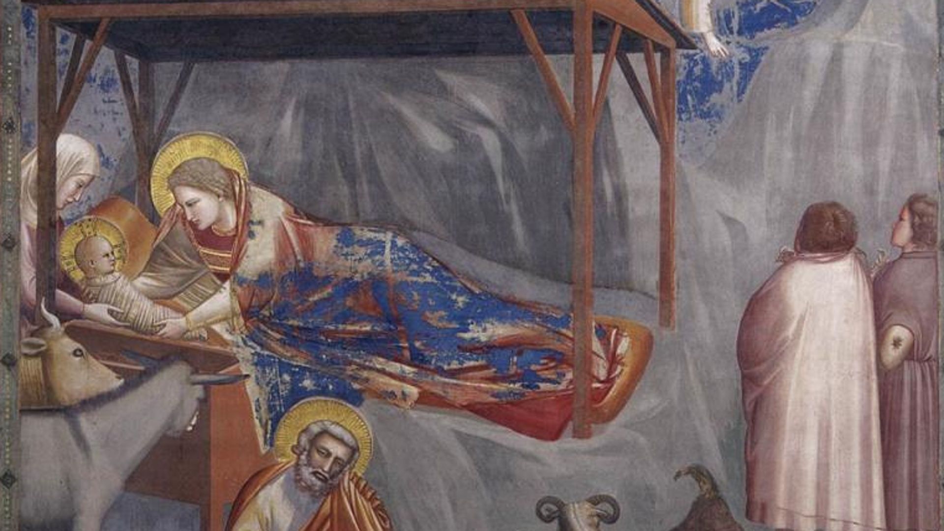 La notte in cui gli animali parlano