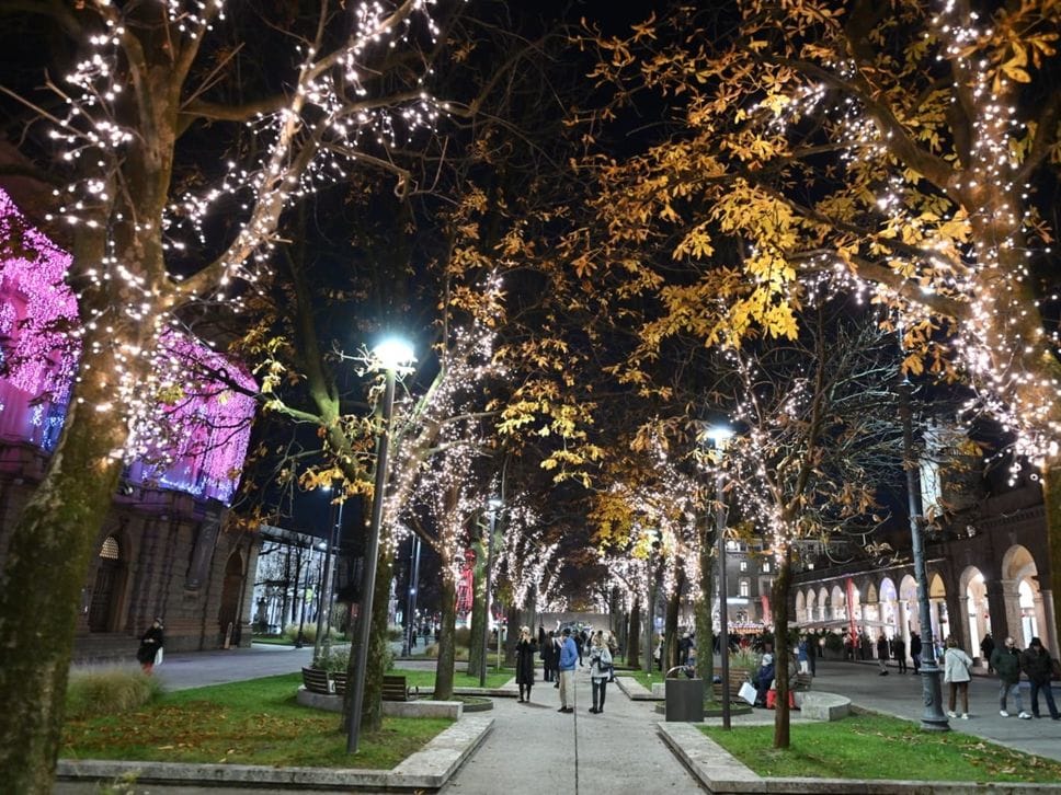Le luci di Natale sugli alberi del Sentierino a Bergamo