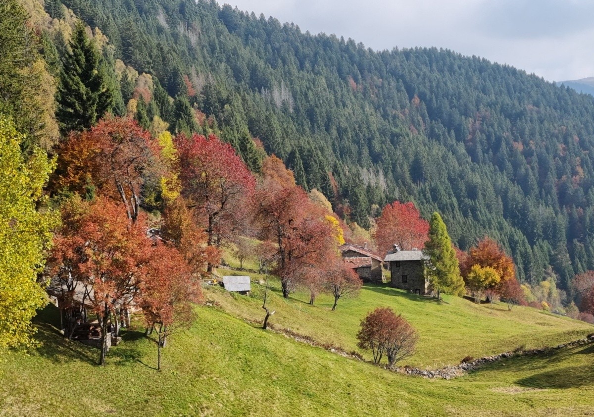 Autunno in Pigolotta