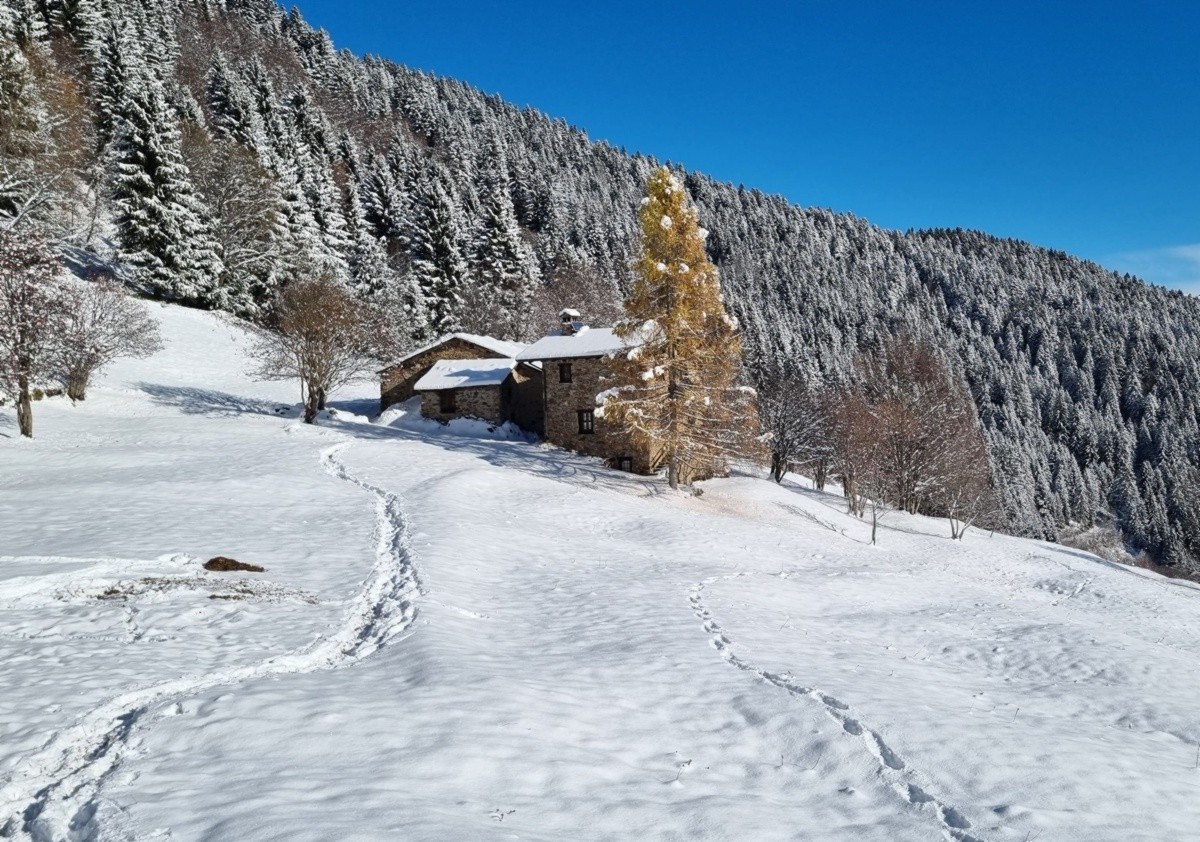 Suggestioni invernali alla Pigolotta