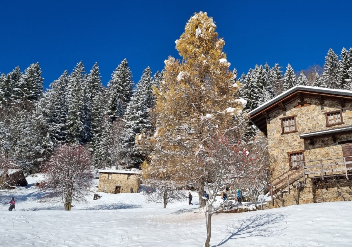 Girovagando tra le baite della Pigolotta