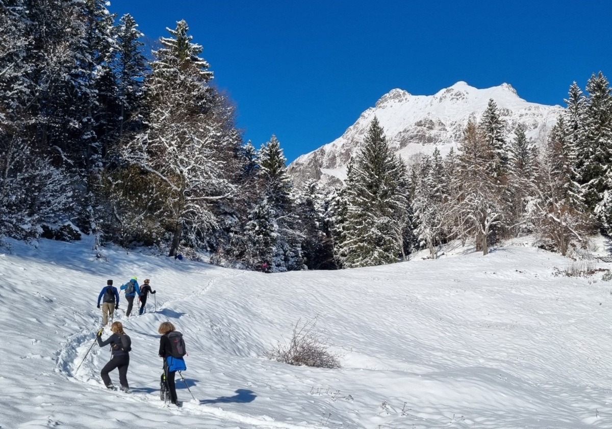 Verso il monte Pigolotta