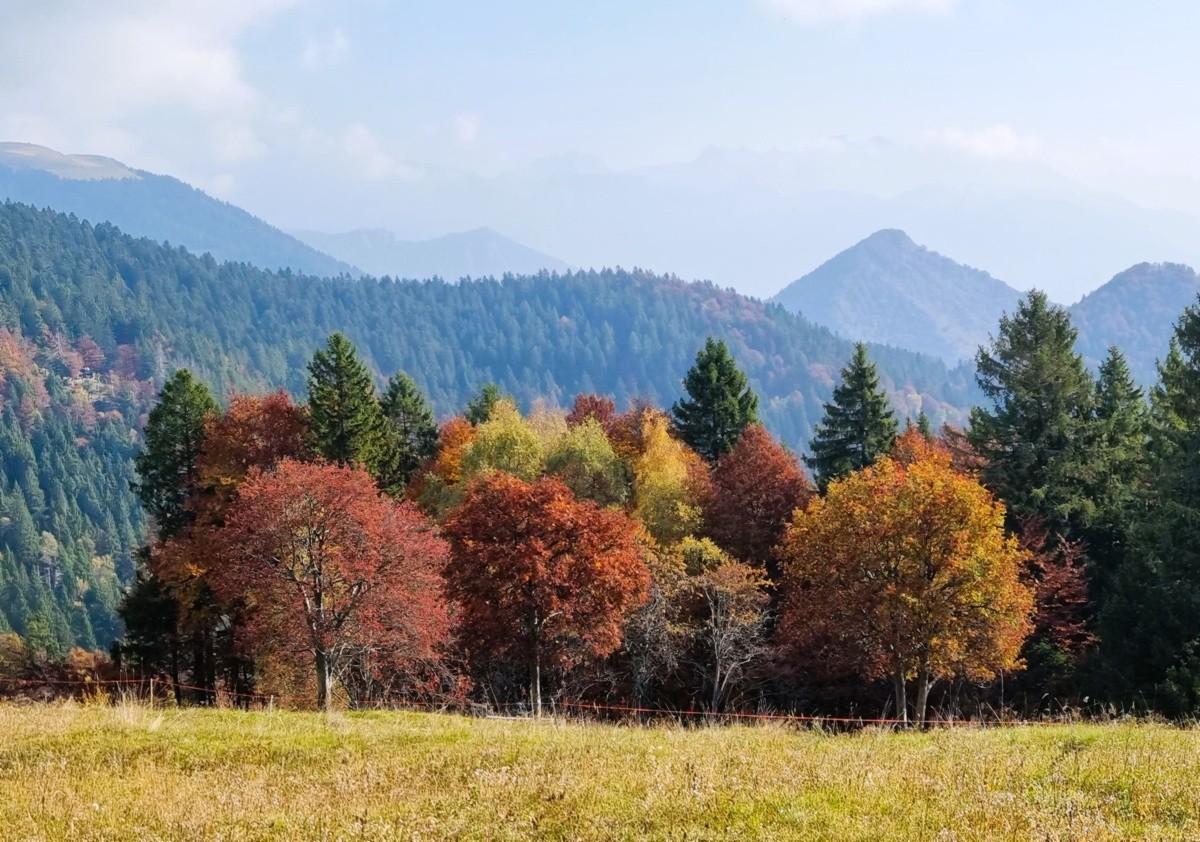 La tavolozza del pittore