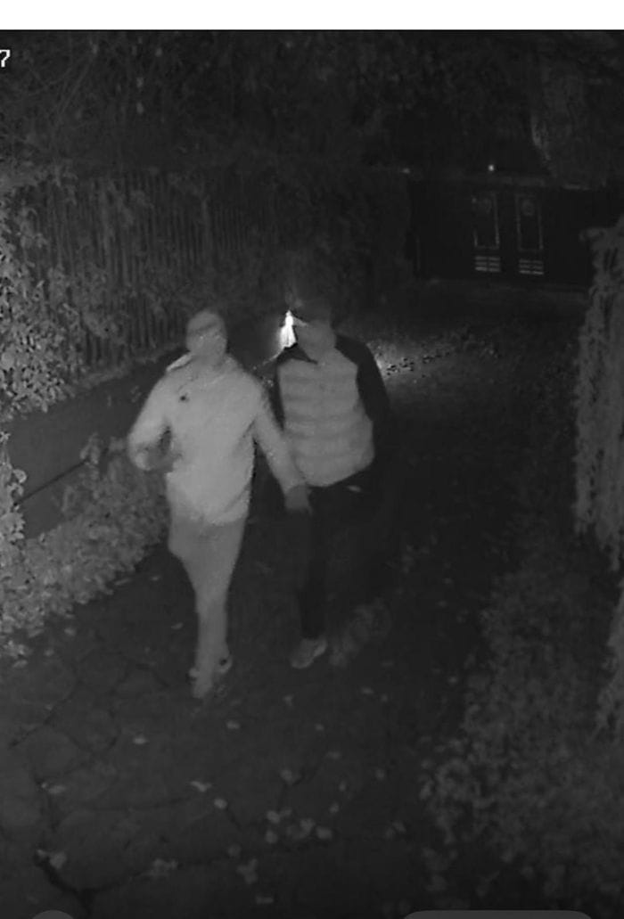 I ladri nel giardino della villa, ripresi dalle telecamere