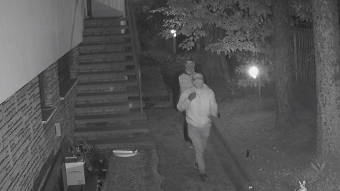 Tentano di rubare nella villa di un imprenditore a Bergamo, ladri scappano grazie al vicino Tentano di rubare nella villa di un imprenditore a Bergamo, ladri scappano grazie al vicino