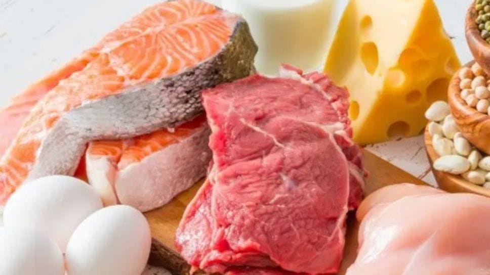 Cibi ricchi di proteine